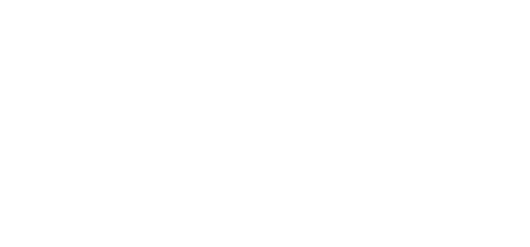 Logo Dra. Fiona Xacur